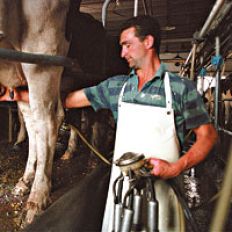 /fotos/cash/20060827/notas_c/agro.jpg