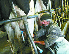 /fotos/cash/20090628/notas_c/leche.jpg
