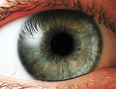 /fotos/futuro/20120303/notas_f/ojo.jpg