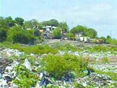 /fotos/m2/20030503/notas_m/basura.jpg