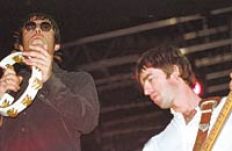 /fotos/no/20060309/notas_no/oasis.jpg