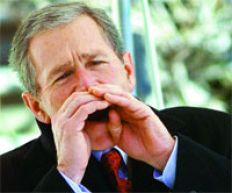 /fotos/radar/20041010/notas_r/bush.jpg
