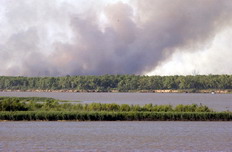 /fotos/rosario/20080807/notas_o/04A.JPG