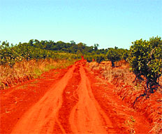 /fotos/soy/20120323/notas_y/misi.jpg