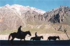 /fotos/turismo/20040111/notas_t/mendoza2.jpg