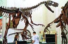 /fotos/turismo/20040328/notas_t/dinosaurios.jpg