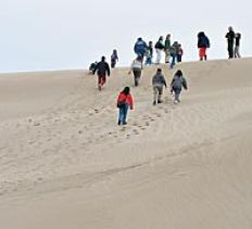 /fotos/turismo/20040808/notas_t/medanos.jpg