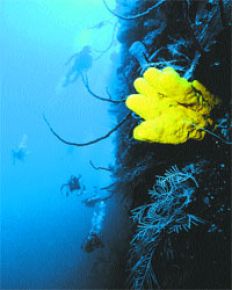 /fotos/turismo/20060122/notas_t/roque.jpg