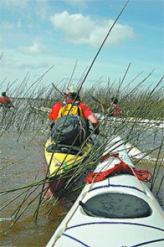 /fotos/turismo/20071014/notas_t/kayaks.jpg
