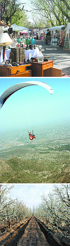 /fotos/turismo/20090419/notas_t/mendoza.jpg