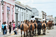 /fotos/turismo/20131027/subnotas_t/lp05fo05.jpg