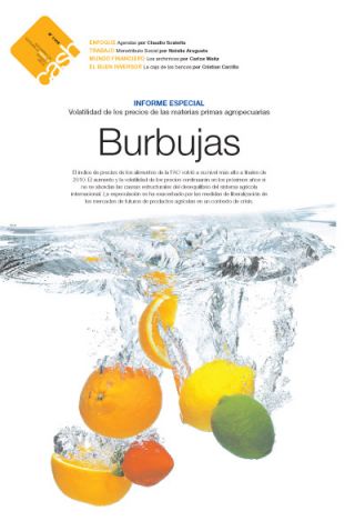Tapa del suplemento