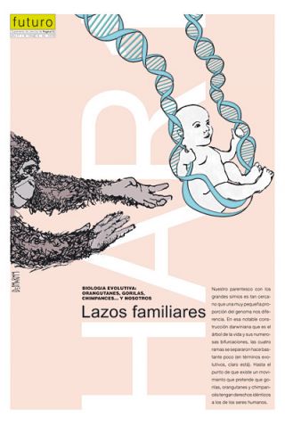 Tapa del suplemento