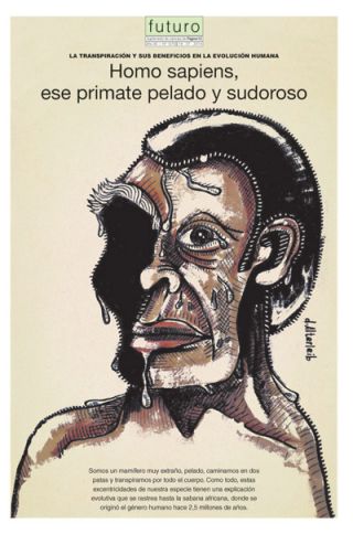 Tapa del suplemento
