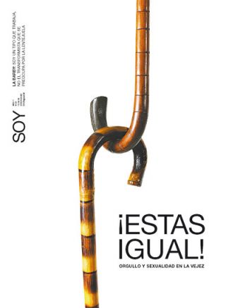 Tapa del suplemento