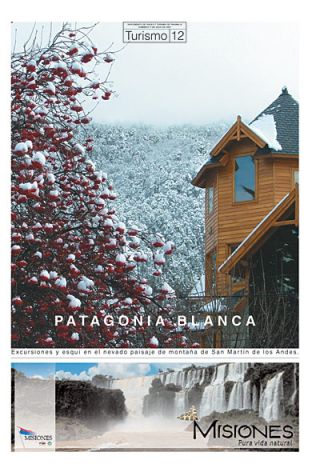 Tapa del suplemento