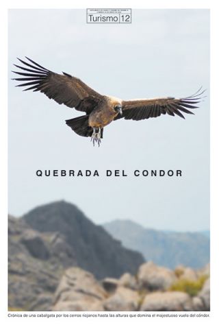 Tapa del suplemento