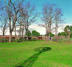 Tapa turismo
