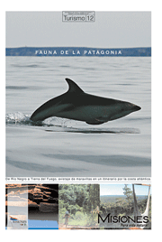 Tapa turismo
