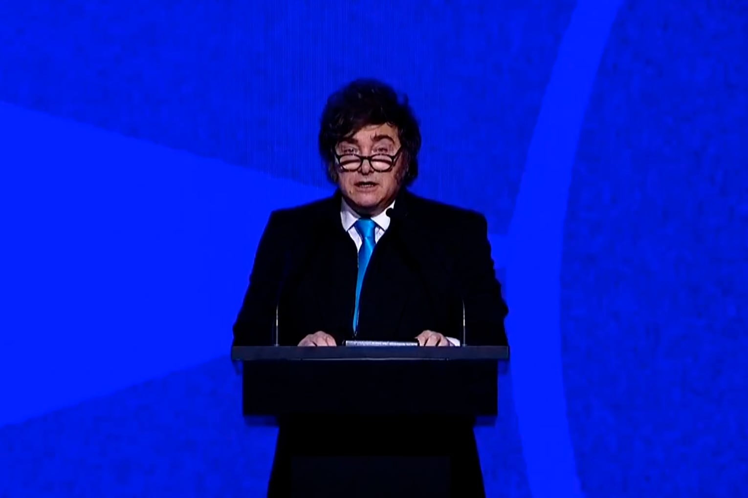 CAPTURA PANTALLA 
   javier milei