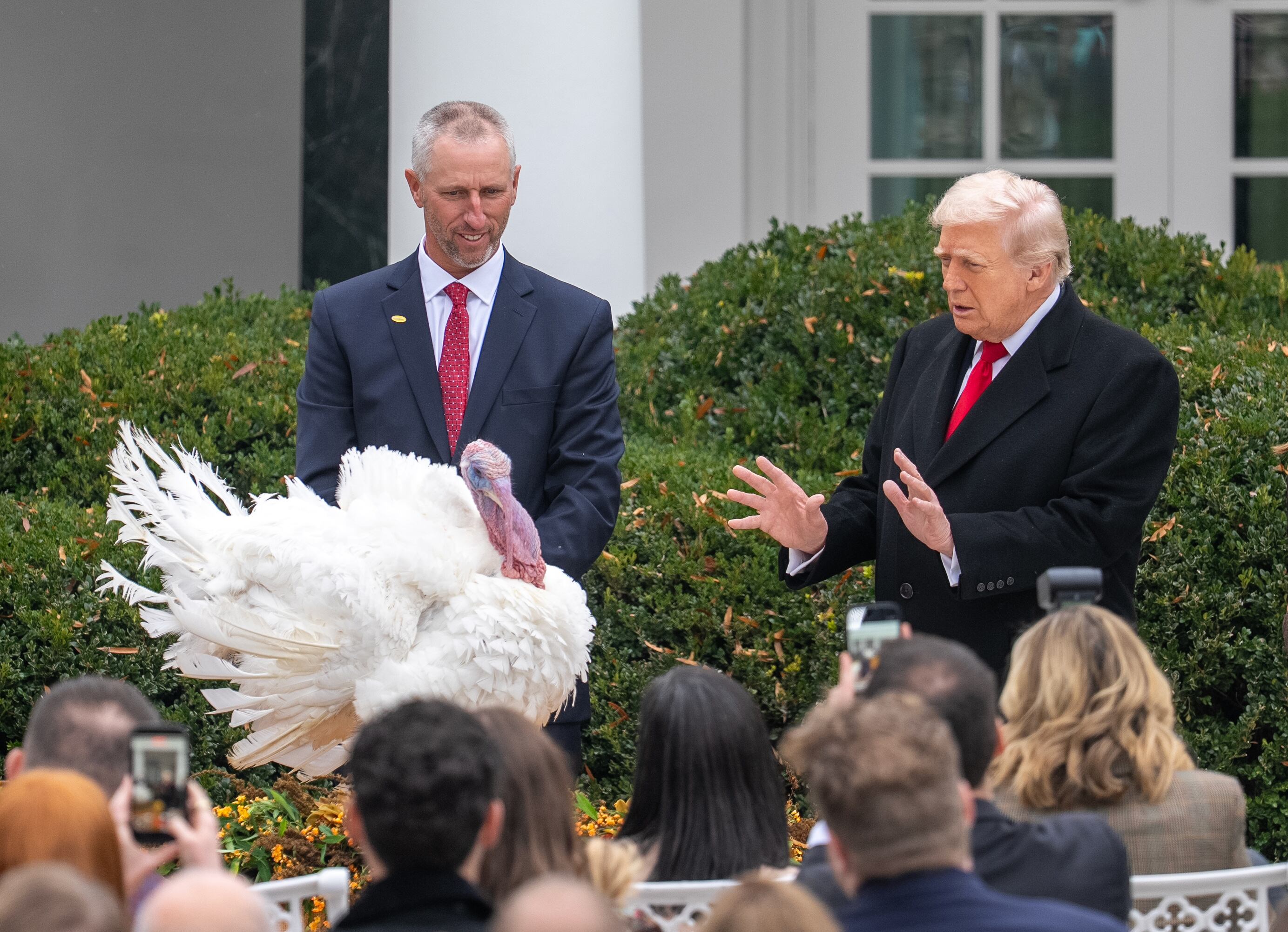 WASHINGTON, 25 noviembre, 2025 (Xinhua) -- El presidente estadounidense, Donald Trump (d), asiste a la Ceremonia Nacional de Indulto del Pavo de Acción de Gracias, en la Casa Blanca, en Washington D. C., Estados Unidos, el 25 de noviembre de 2025. (Xinhua/Hu Youson