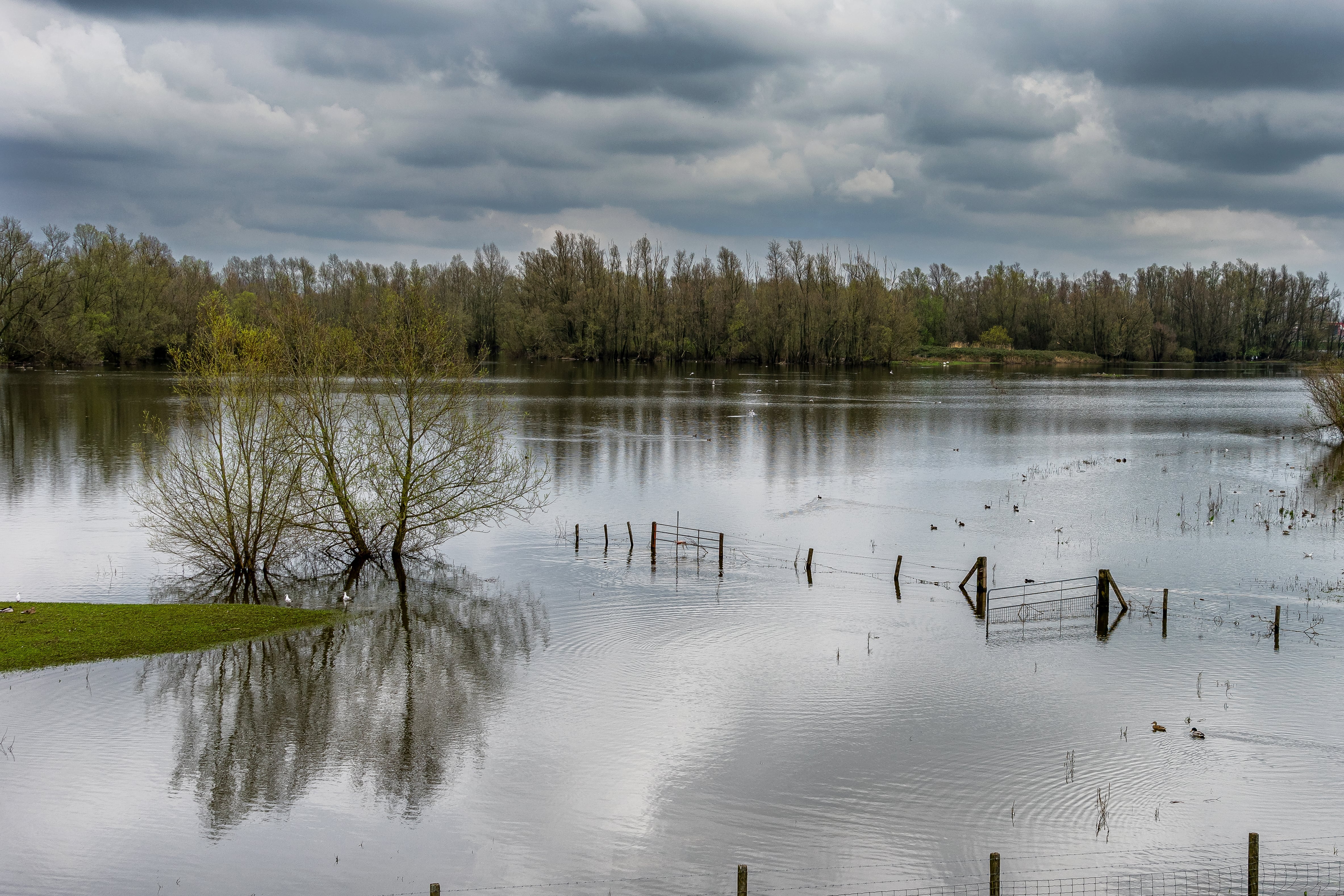 campo inundado