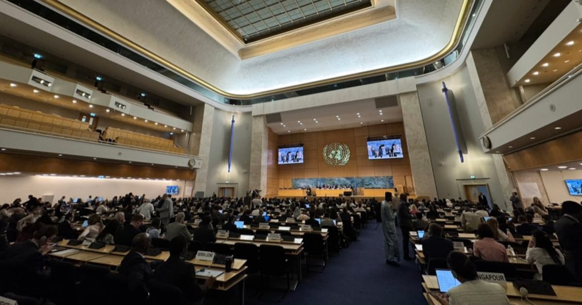 La comunidad afroargentina denuncia ante la ONU el retroceso de las políticas antirracistas en Argentina