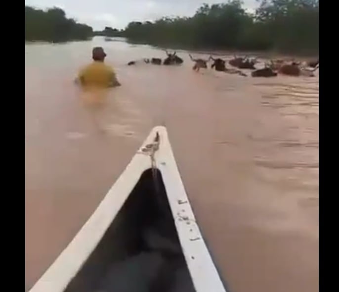 Aún queda relevar los daños.