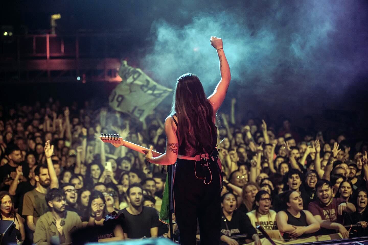 Eruca sativa en vivo