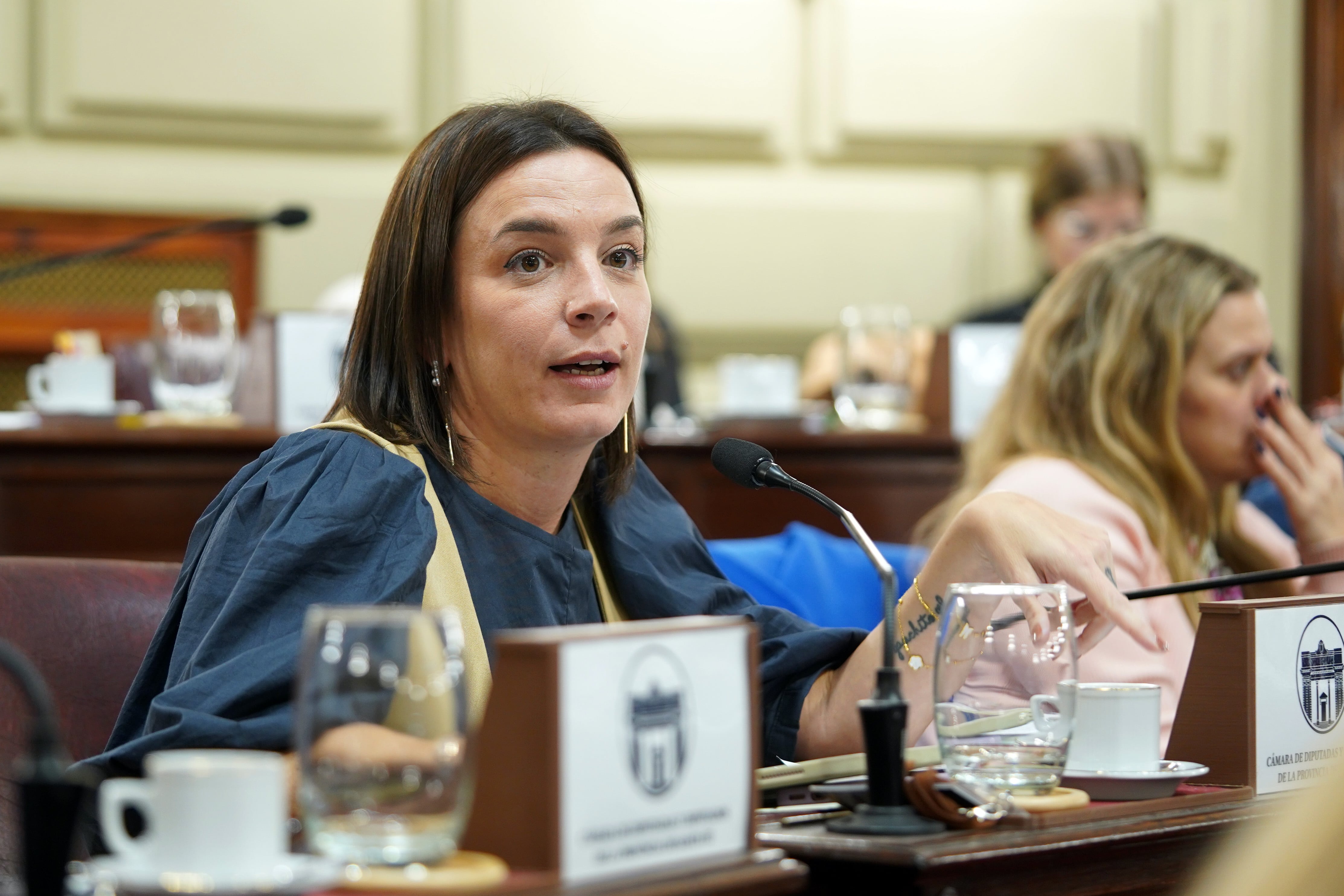 sesion ordinaria de camara de diputados provinciales de santa fe
DE PONTI, Lucila
BLOQUE SANTA FE SIN MIEDO