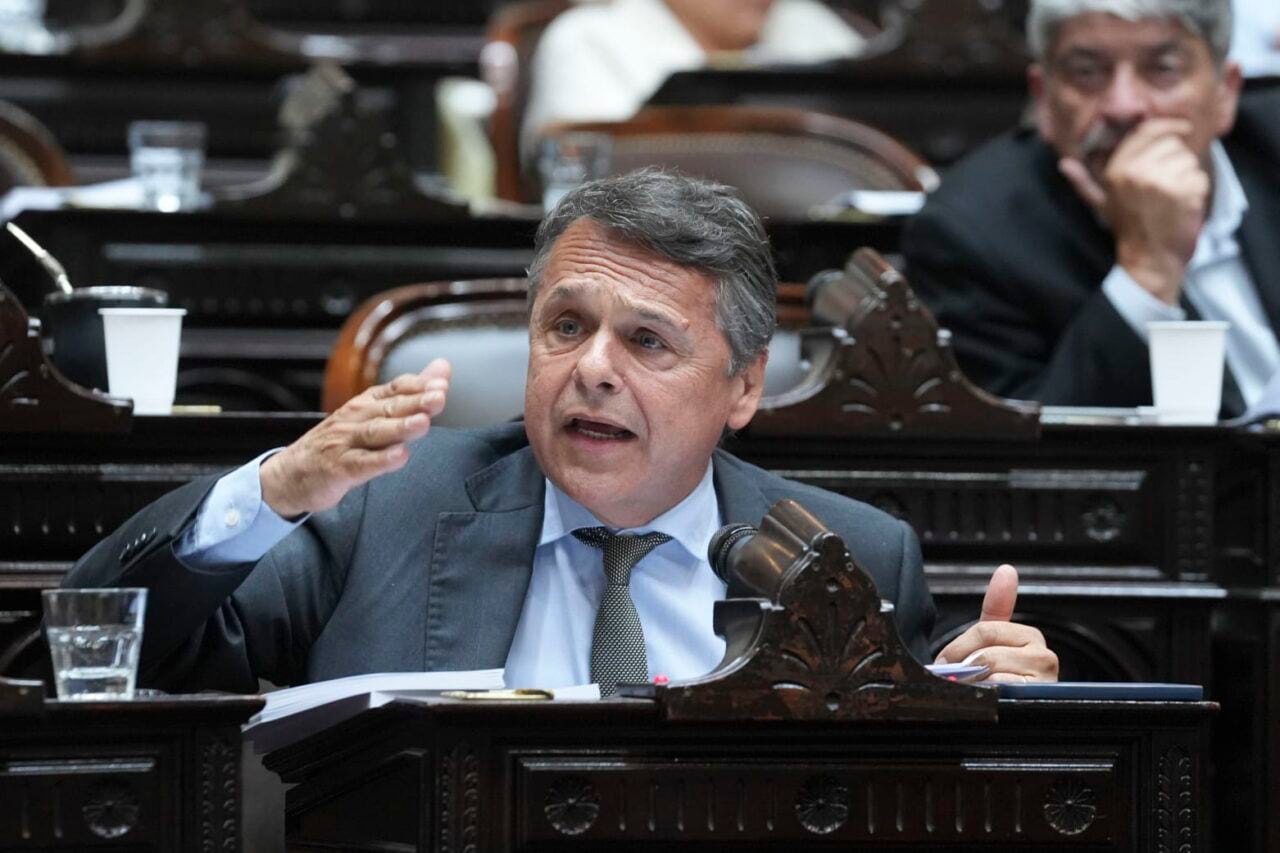 Diego Giuliano diputado nacional por santa fe union por la patria
