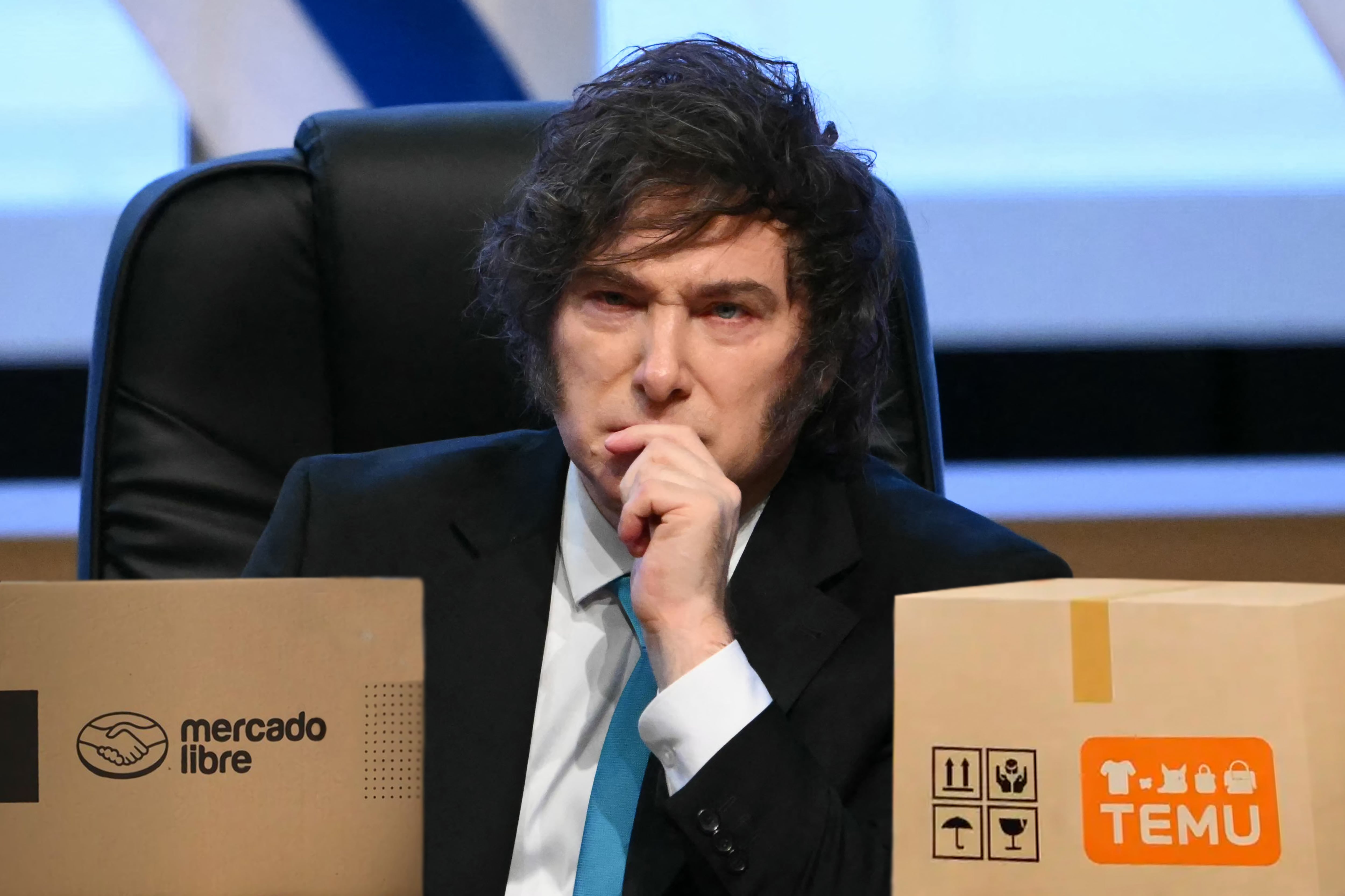 FOTO ARCHIVO
     mercado libre  javier milei   temu