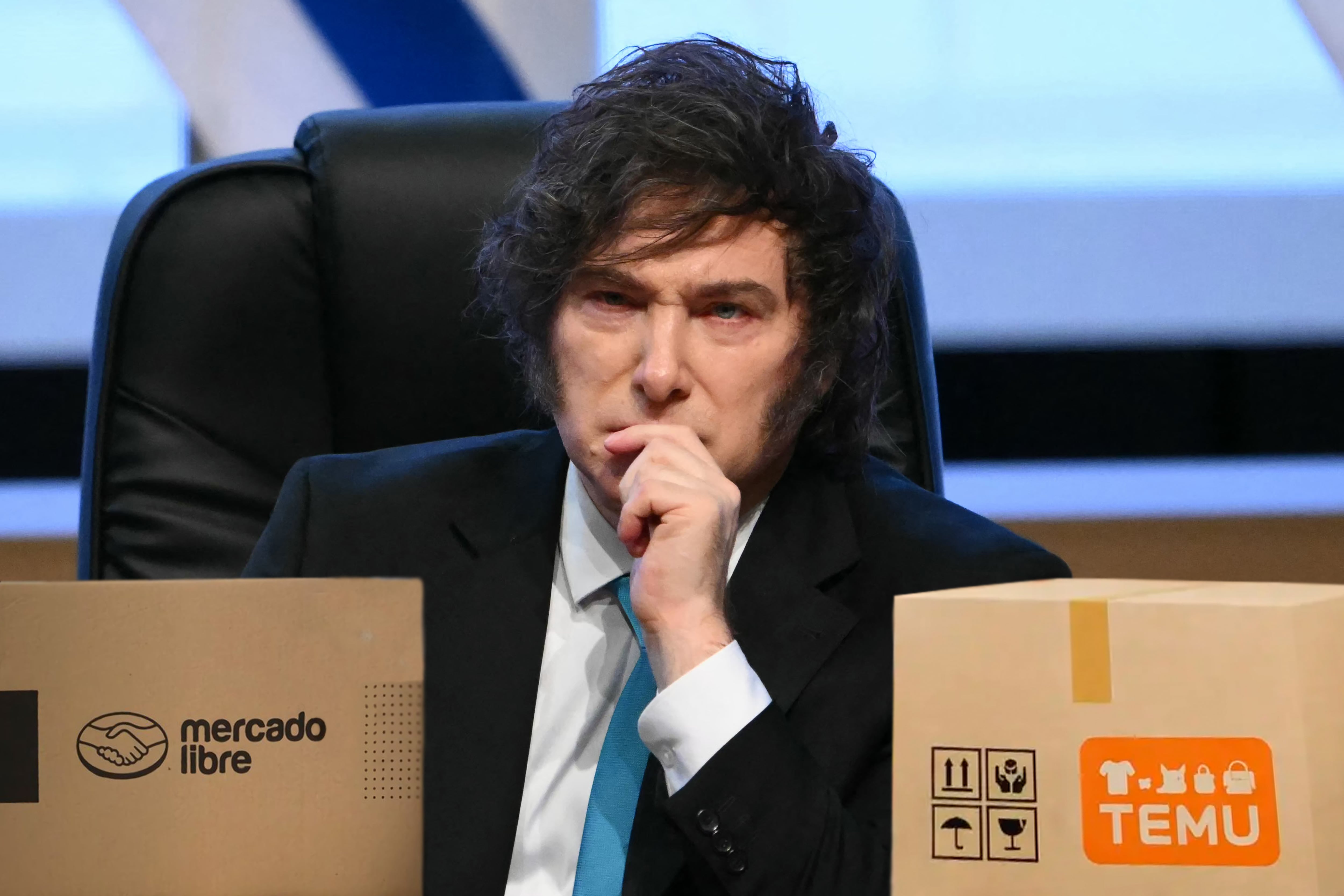 FOTO ARCHIVO
mercado libre javier milei temu