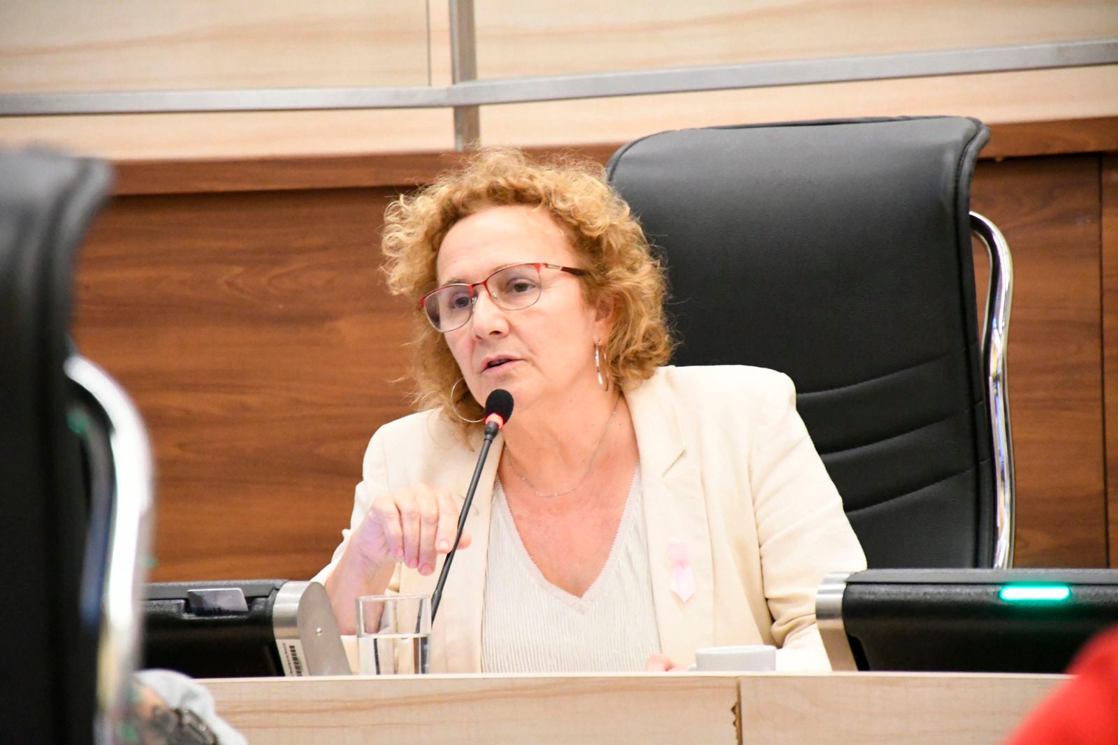 Alicia Pino concejala Rosario Bloque Socialista