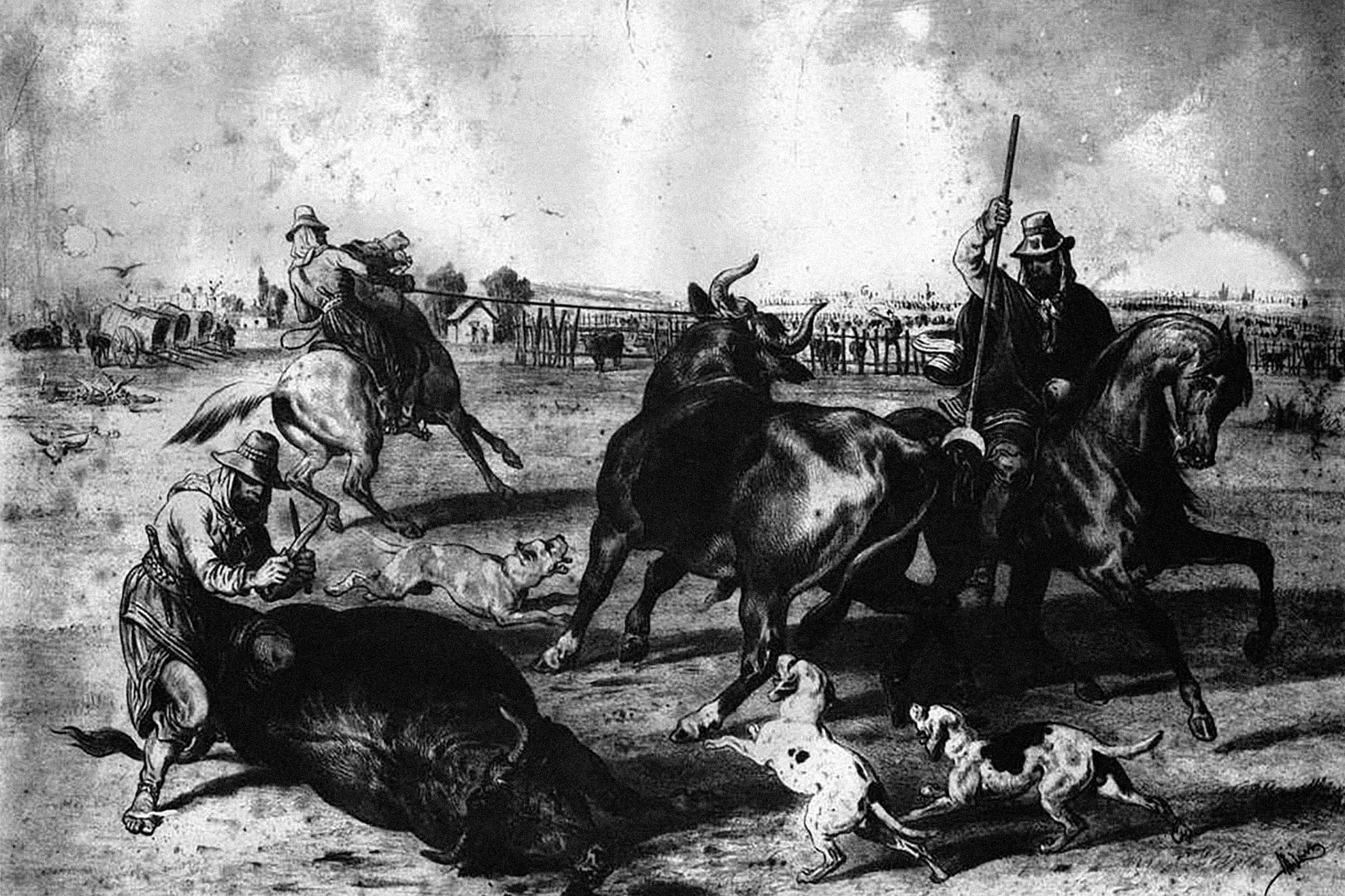 contratapa, Dulin Jean Desire, obra de arte, gaucho, matadero