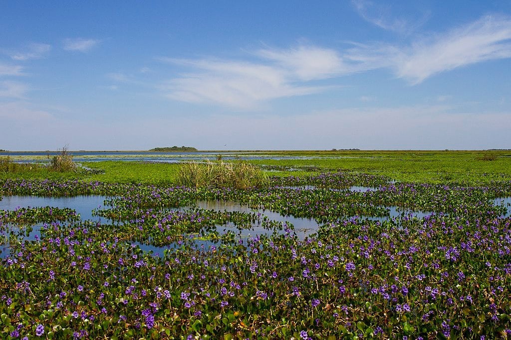 Plan climàtico Bonaerense
