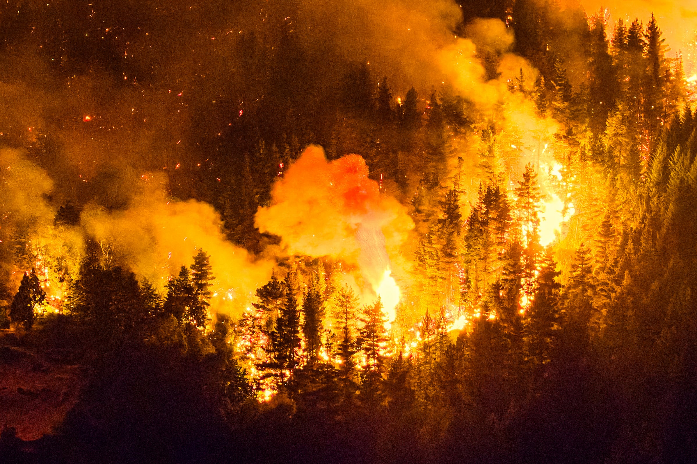 A forest fire is pictured engulfing Mount Pirque at El Hoyo, in the Patagonian region of Chubut province, Argentina on January 7, 2026. Thousands of hectares of forest were devastated by fire on January 6, in Argentine Patagonia, where a red alert is in effect due to extreme conditions, one year after the region experienced its worst wildfires in three decades. (Photo by Martin LEVICOY / AFP)