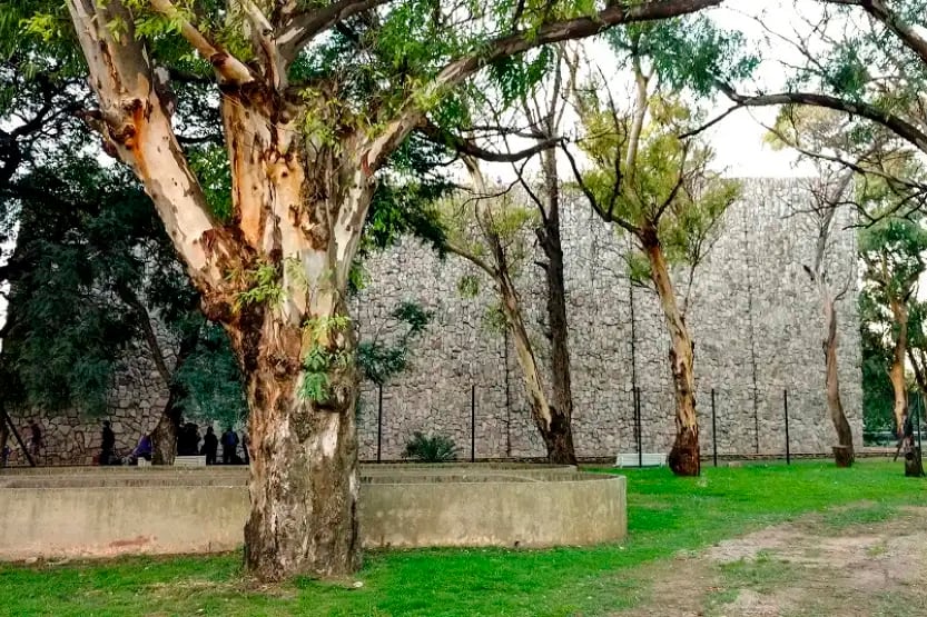 Palestra Nacional de escalada