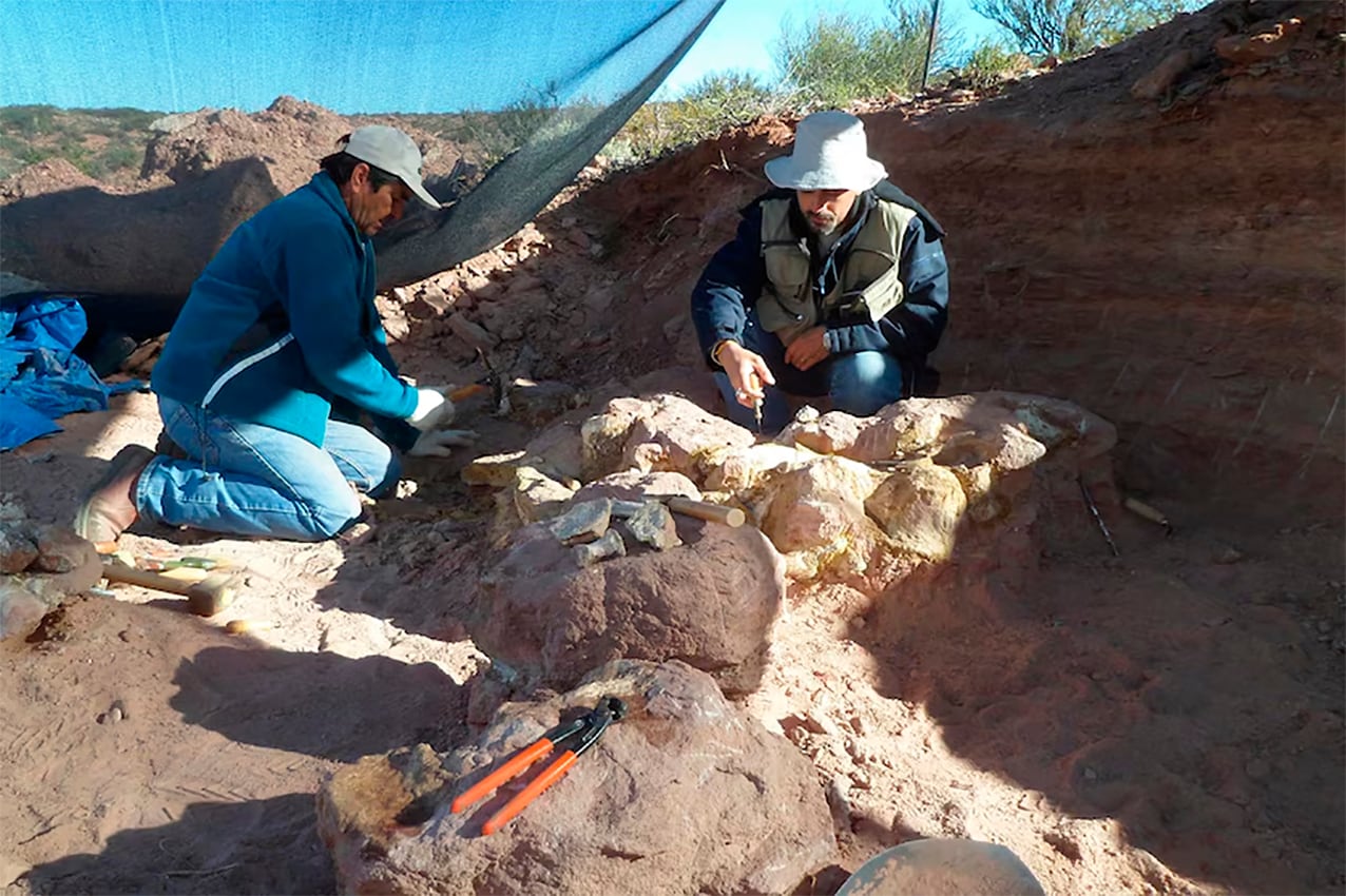 FOTO REDES SOCIALES 
   neuquén  nueva   especie  dinosaurio