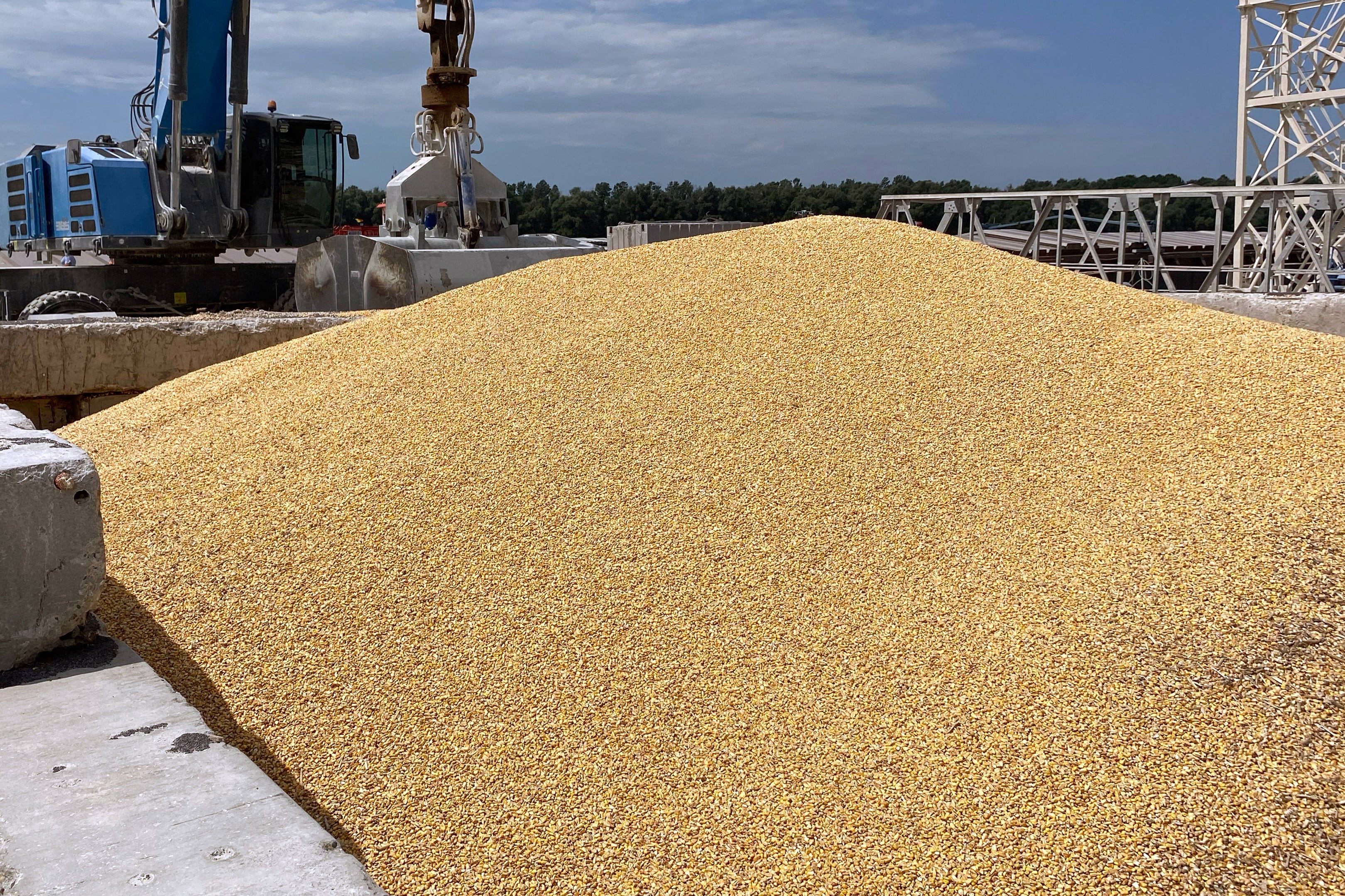 Una pila de granos de maíz se ve en el muelle en el puerto marítimo de Izmail, región de Odesa, el 22 de julio de 2023. Rusia dijo el 21 de julio de 2023 que entendía las preocupaciones que las naciones africanas podrían tener después de que Moscú abandonara el acuerdo de granos de Ucrania, prometiendo garantizar las entregas a los países necesitados.