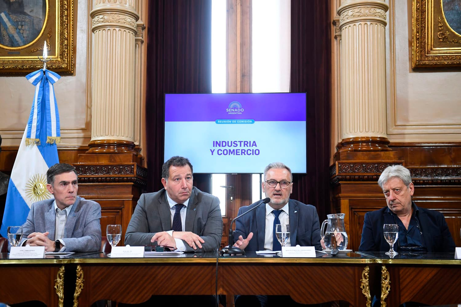 Marcelo Lewandowski
Senador Nacional de Argentina