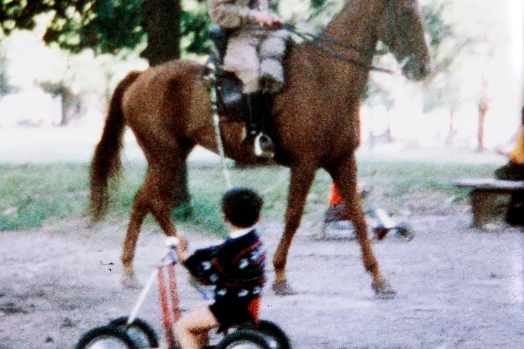 SAPOS, MOMENTOS DE INFANCIA EN DICTADURA
DIRECCIÓN: Lucas Brunetto