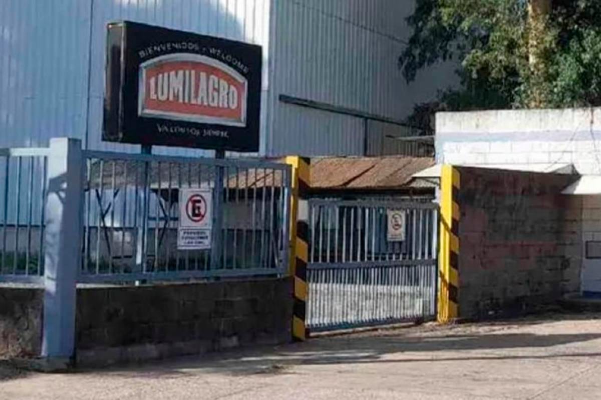 Lumilagro anuncia 60 empleos y 15 locales tras reconversión que incluyó importaciones desde China — image 5
