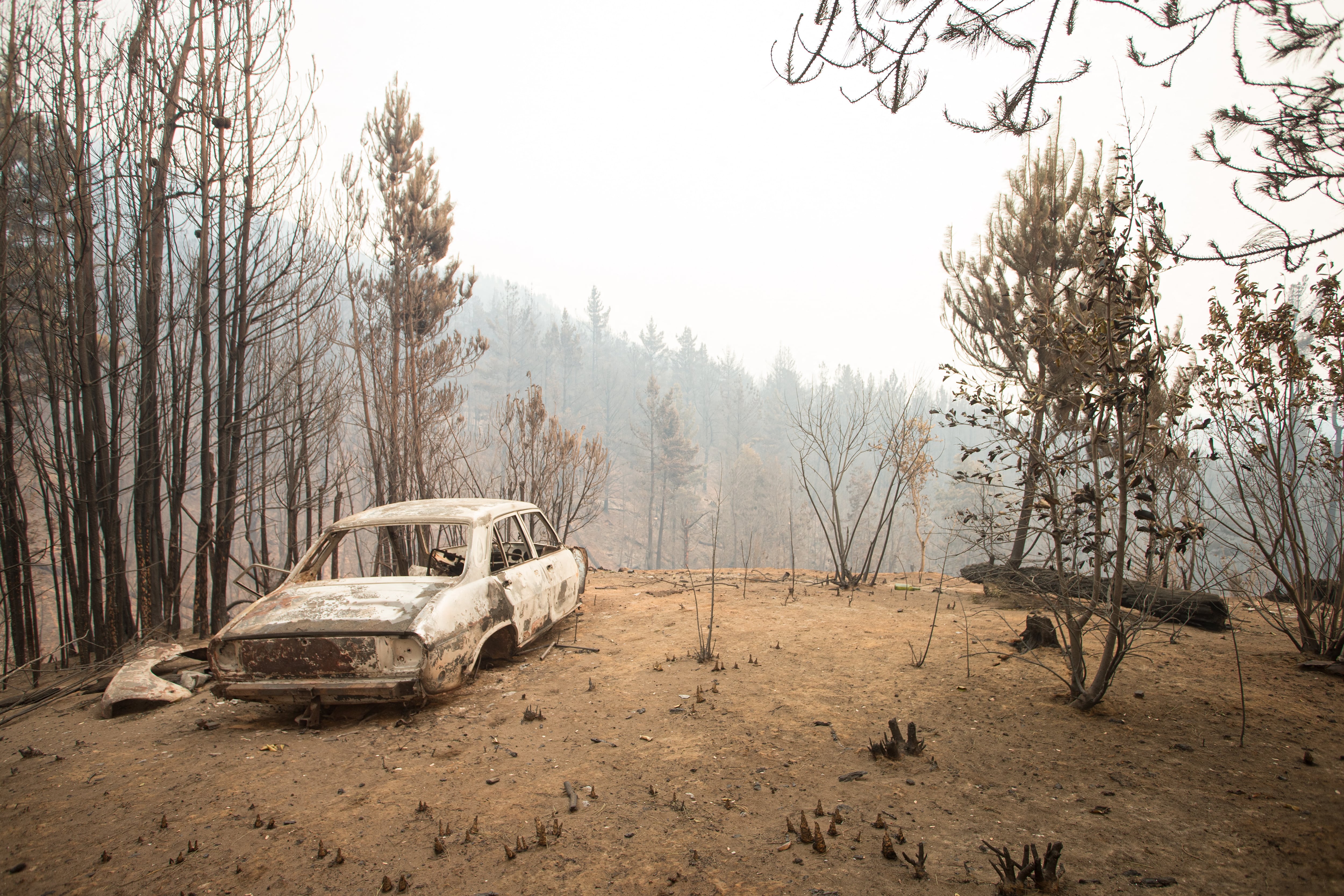 Incendios Patagonia