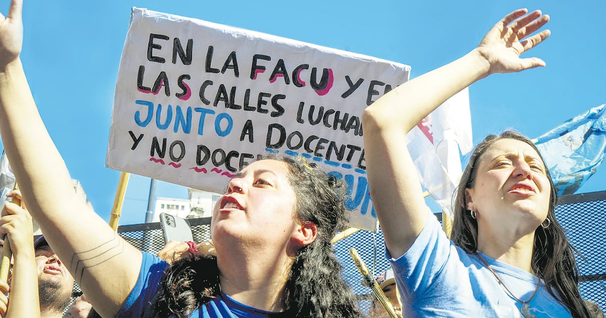 La Universidad Nacional de Río Negro llevó a la ONU la denuncia contra el ajuste de Milei – Página|12