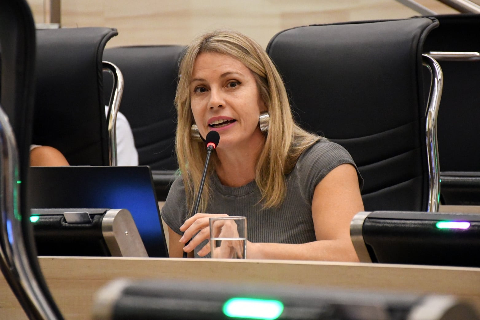 Sesion ordinaria en el recinto del concejo deliberante de rosario
Anahí Schibelbein
Bloque Radical 
Foto Prensa Concejo