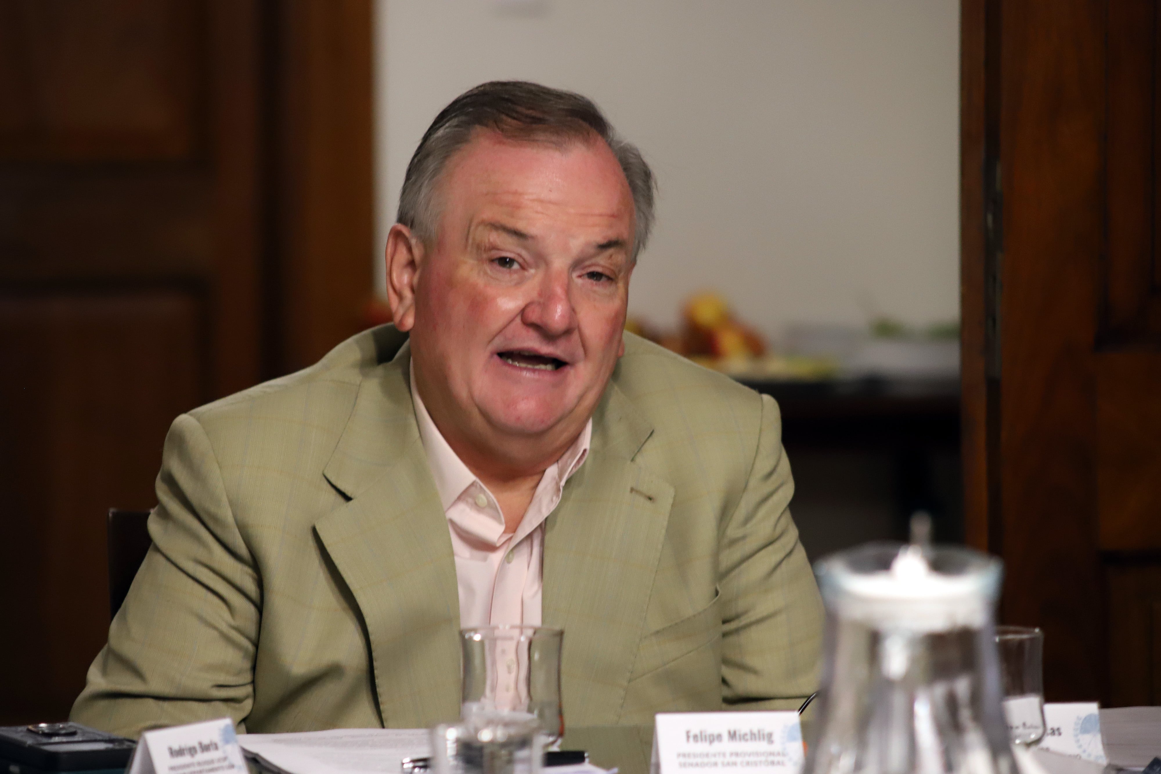 Felipe Michlig presidente cámara de senadores de santa fe UCR