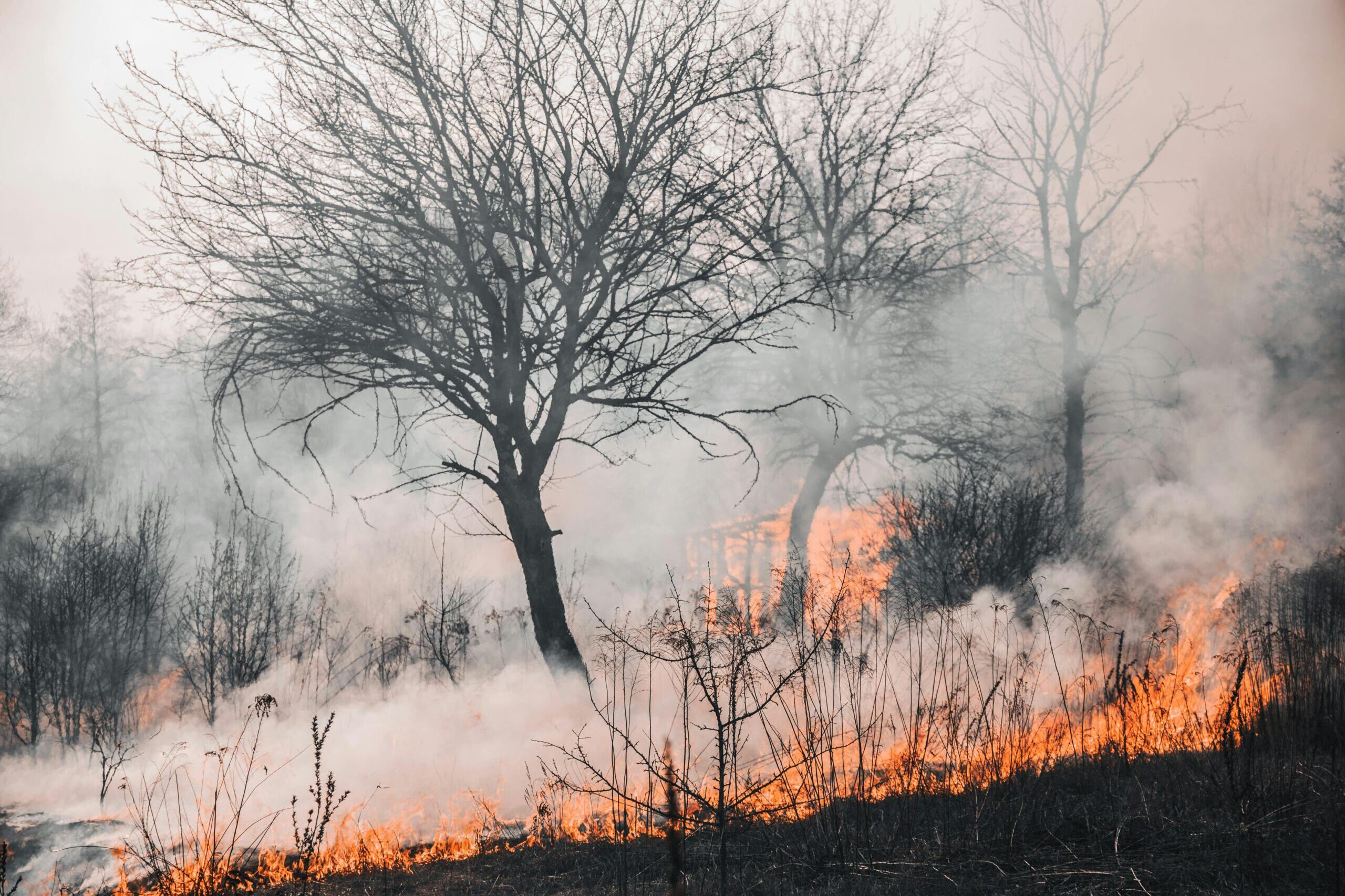 Alerta por riesgo extremo de incendios en gran parte del país