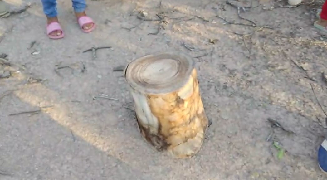 Quieren alambrar para preservar