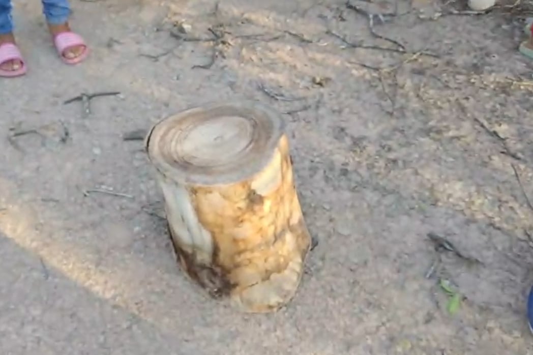 Quieren alambrar para preservar